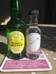 Salcombe gin