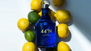 44N gin